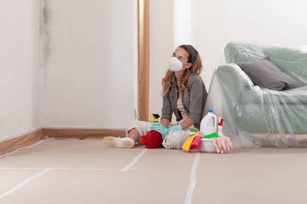 Reliable Commercial Mold Remediation contractor in Kearny, AZ by WQB Mold Removal